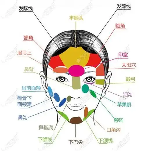 面部可以填充的部位
