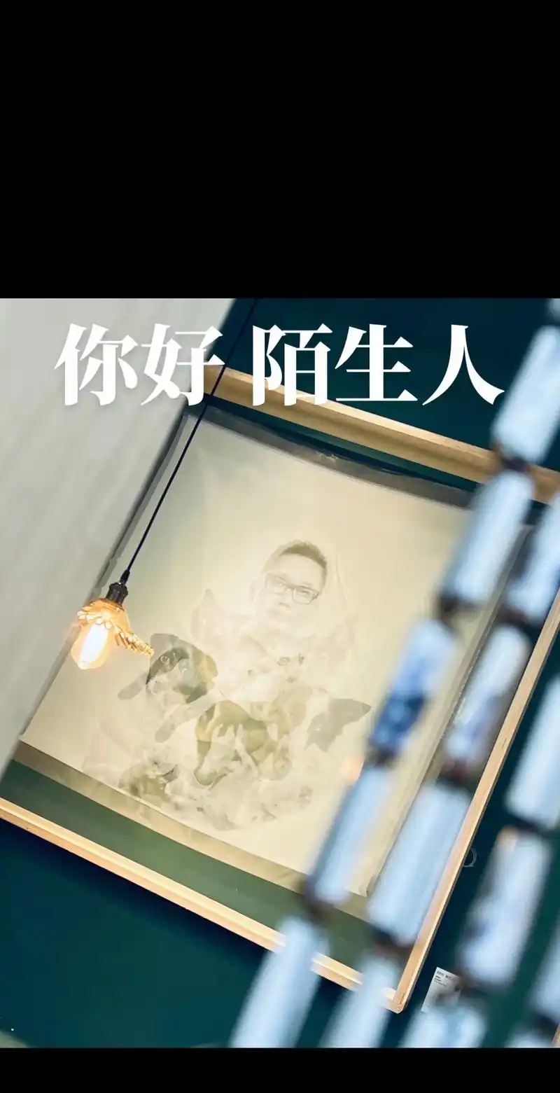 带你看展|你好陌生人-沈括个展.你好陌生人 —— 沈括个展  - 抖音