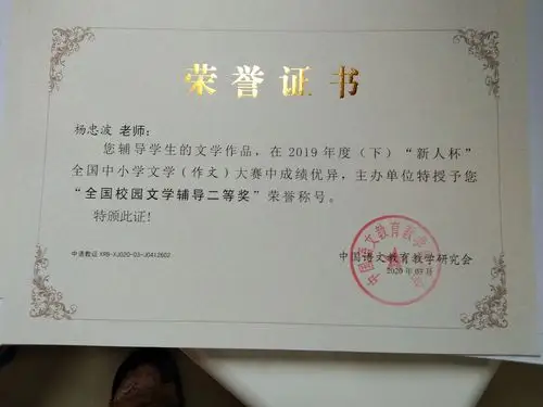 奖状——正兴镇小学117班2019年(下)"新人杯"全国中小学文学(作文)
