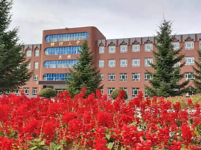 缤纷寒假心向暖阳 多措并举逐光守望---讷河三中八年三班假期班级管理