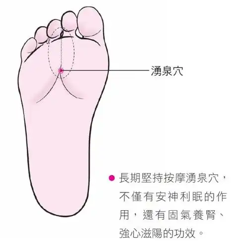 按按脚底安神穴位养肾又强心- 第2页