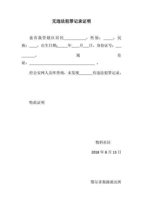 无违法犯罪记录证明doc2页