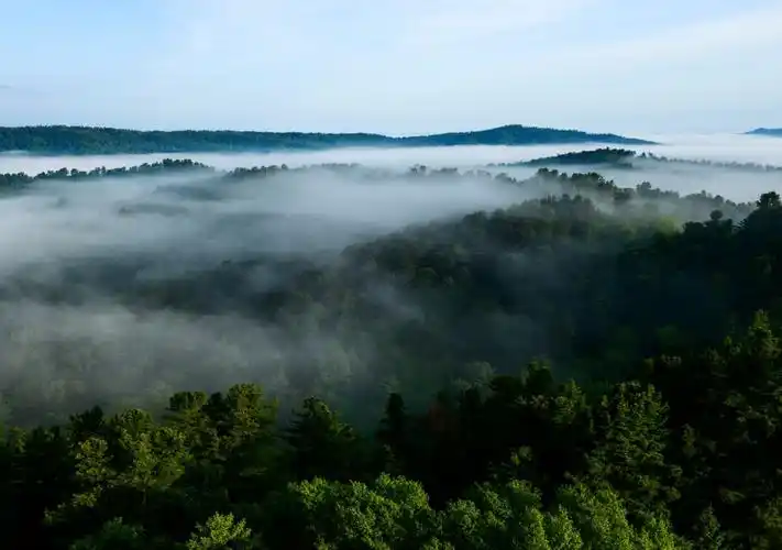 兴安晨雾 大美丰林