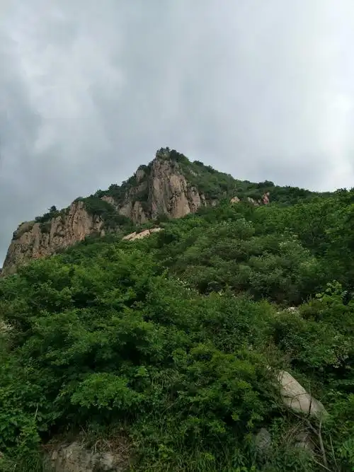 这里不小,心之所系,一山青绿远离浮华.