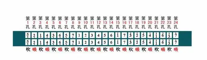 厂家批发24孔复音口琴c调初学入门三色课堂儿童乐器定制logo