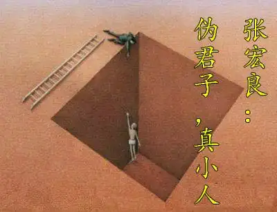 张宏良:扒伪君子皮,显真小人形