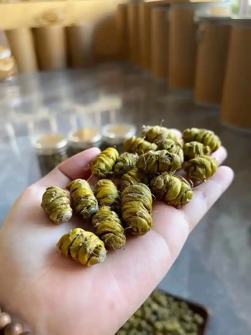 霍山铁皮石斛铁皮石斛  这大热天,喝这汤,太合适 - 抖音