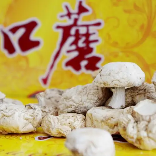 口蘑干货张家口特产正宗白蘑菇舌尖2精选坝上草原香菇礼盒年货