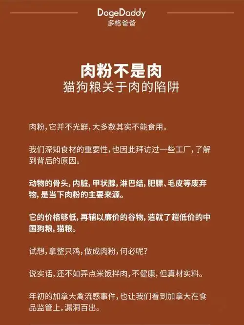肉粉不是肉,猫狗粮关于肉的陷阱