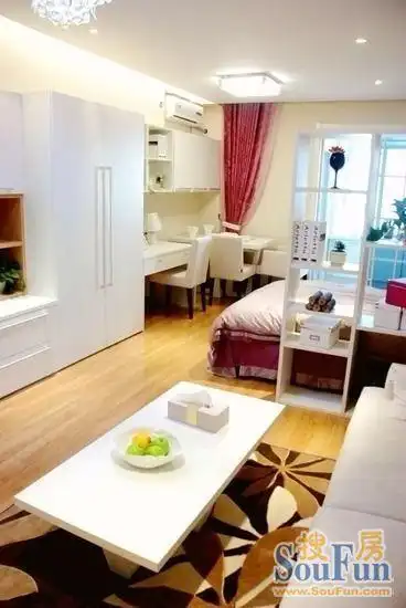 女神的绝美单身公寓 实用40平一室一厅超迷你空间