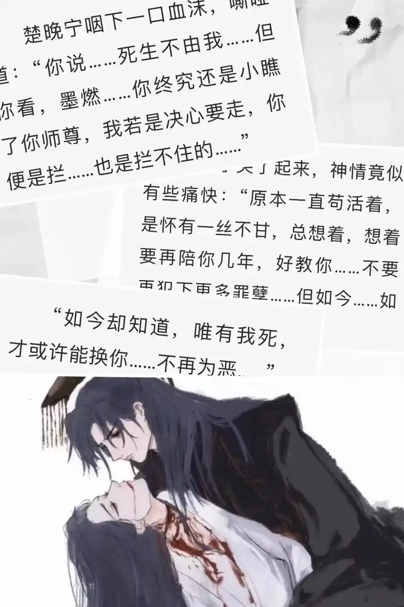 二哈和他的白猫师尊 #楚晚宁 #虐心片段 #燃晚 #刀子  - 抖音