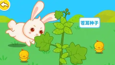 认识苍耳种子奇妙的种子5宝宝巴士