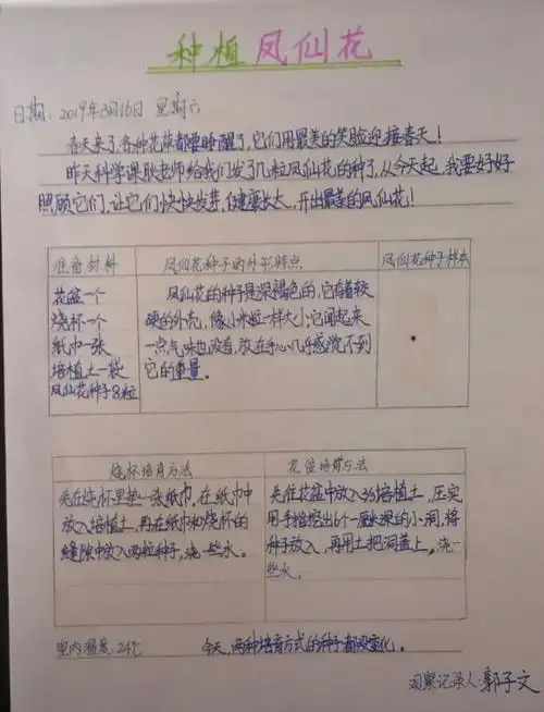 "凤仙花"的优秀观察记录展示