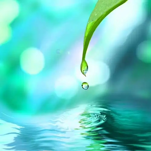 感恩每一滴水:感恩是快乐的源泉