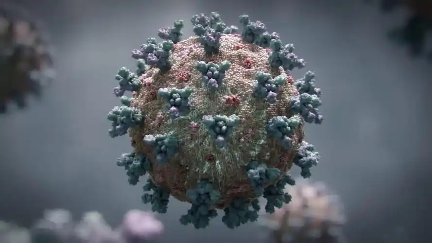 发布于 15 小时前 · 3474 次播放免疫系统生物病毒登革病毒免疫流行