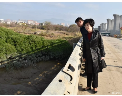 区长连向红开展河长日活动并调研蓝色海湾整治项目