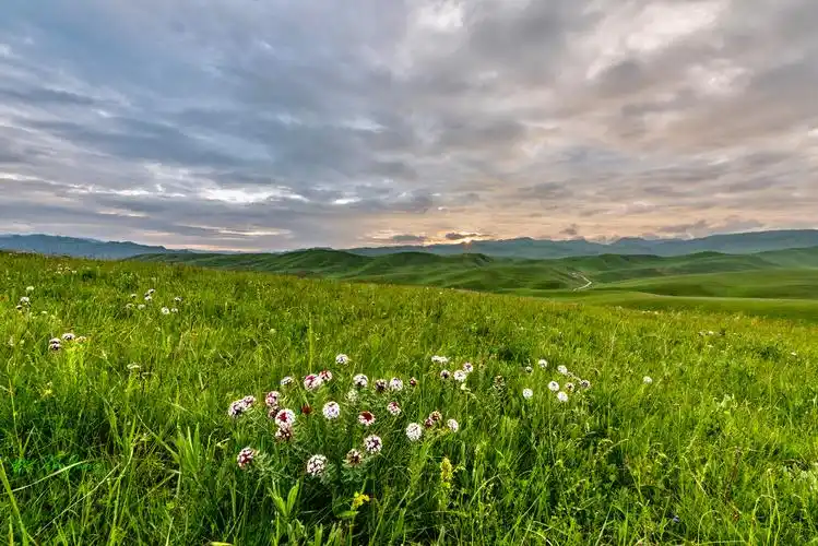 守望草原日出摄于甘南桑科草原