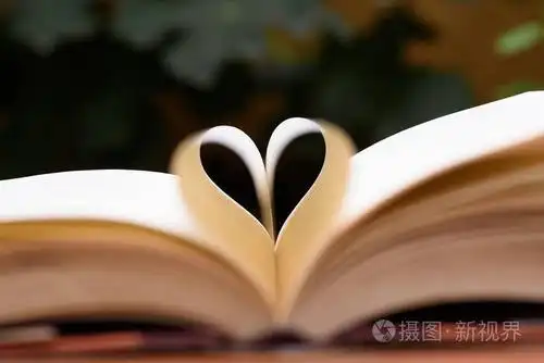 与心形状页本打开的书照片-正版商用图片1re2q4-摄图新视界