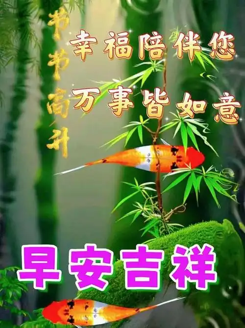 早安暖心图片问候祝福语新的一天事事顺心周三愉快