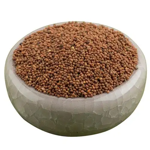 山男中药材广菟丝子无硫内蒙野生小菟丝子肾四味料包吐丝250克