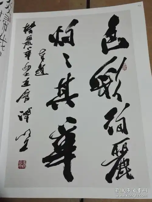 杨丽华水墨青花作品集