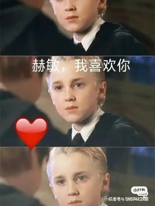 马尔福到底爱不爱赫敏