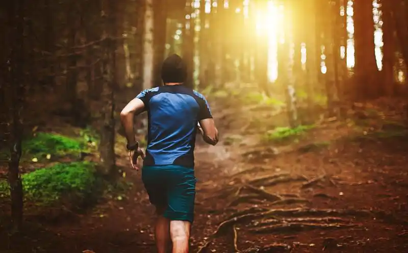 人类在森林里奔跑图片素材