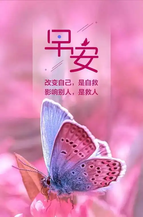 早安正能量心语短句 早上好图片带字励志