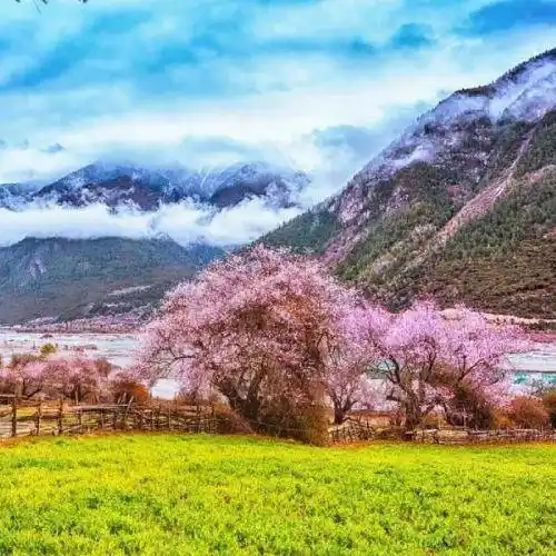 大自然风景图片头像,美丽的风景哪一张你最喜欢