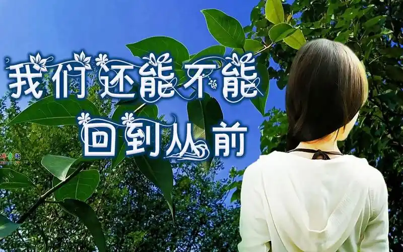 伤感情歌《我们还能不能回到从前》多想再次牵你的手,好听已收藏