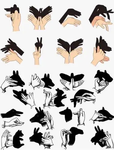 【梧桐树·安全保健】敬畏生命——我们是大自然中的一员