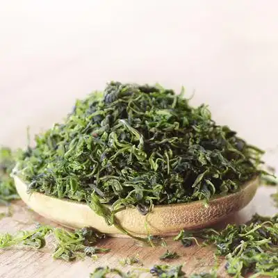 小叶苦丁茶非特级嫩芽肚子发酵余庆青山绿水代用