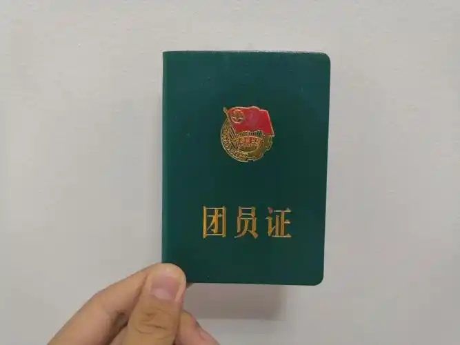 团员证组织意见页面:必须有入团单位印章.