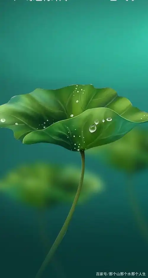 640_1199竖版 竖屏