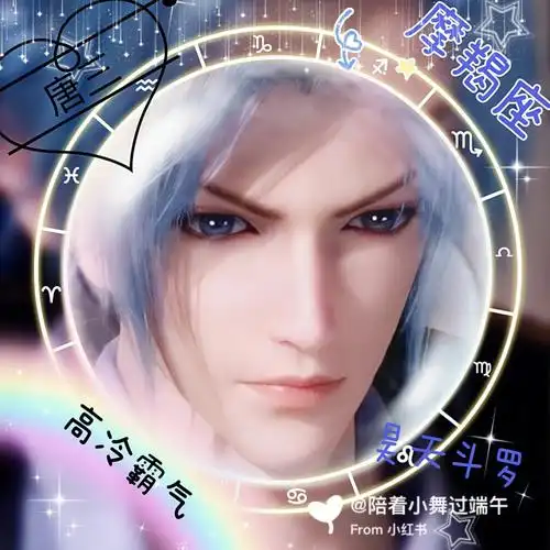 十二星座之斗罗大陆头像