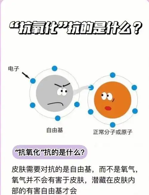 自由基对肌肤有什么危害