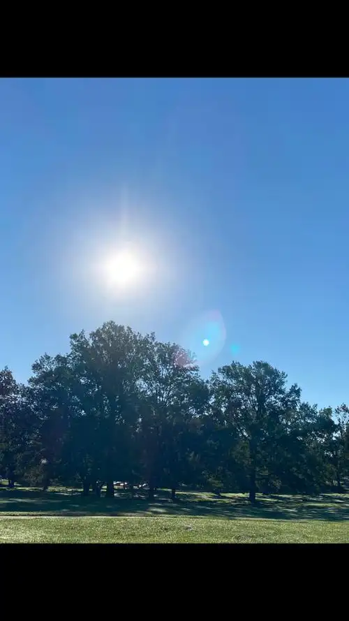 早上八九点钟的太阳和八九点钟的月亮