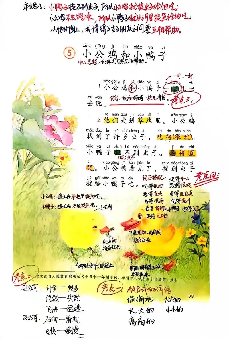一年级语文下册《小公鸡和小鸭子》考点总结.