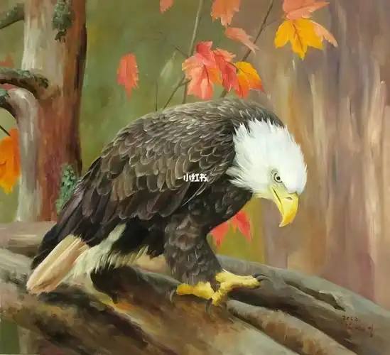 手绘油画老鹰73x62cm