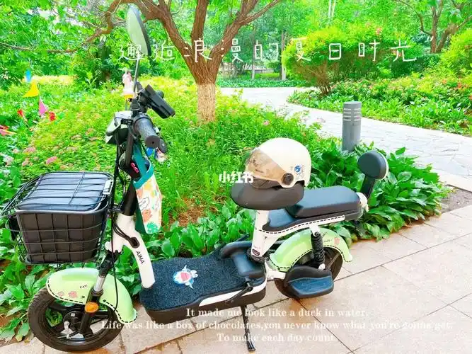 爱玛电动车改造