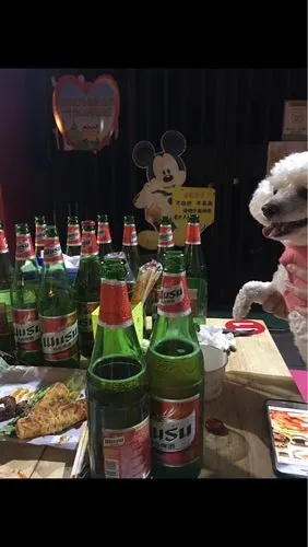 说真的一个人喝不了9瓶喝酒喝睡着了还打鼾那个