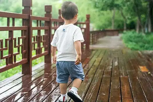 雨,散步,幼儿,背影