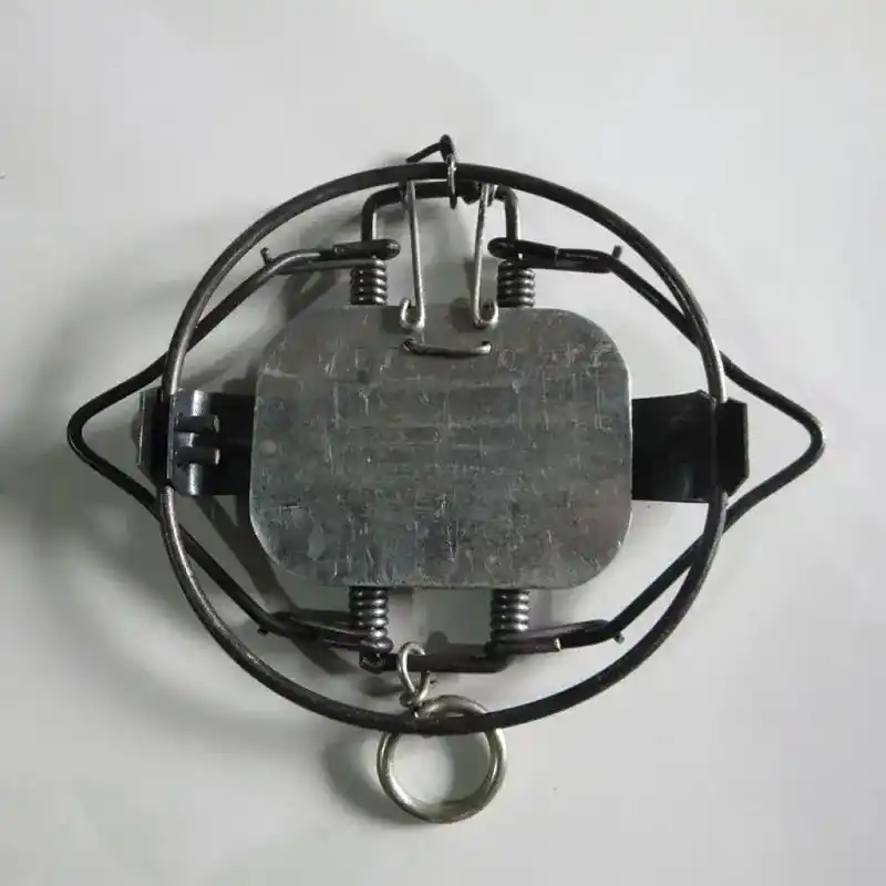 平口夹子老鼠夹 - 抖音