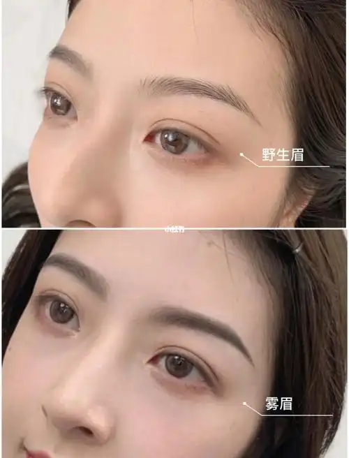 刘亦菲们到底选野生眉还是雾眉