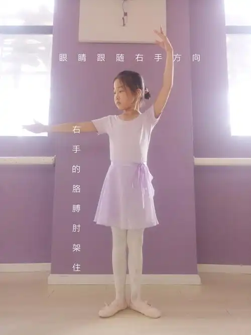 紫莲舞蹈课堂小知识:芭蕾手位简介