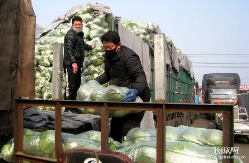 货多着呢涨不了探访石家庄桥西蔬菜批发市场