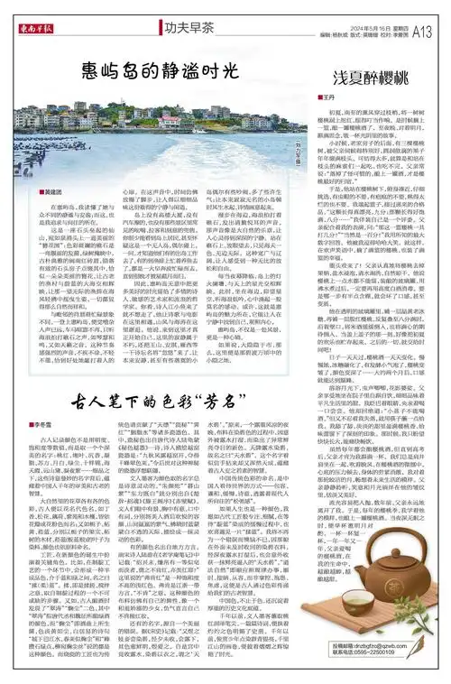 东南早报数字报