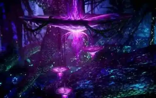 阿凡达 生命之树-搜狗图片搜索