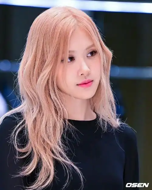 roseanne荆棘玫瑰林