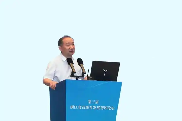 教授,浙江数字化发展与治理研究中心主任,首席专家 刘渊"要一体化推进